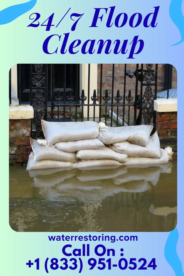 24/7 Flood Cleanup in Kenney, IL