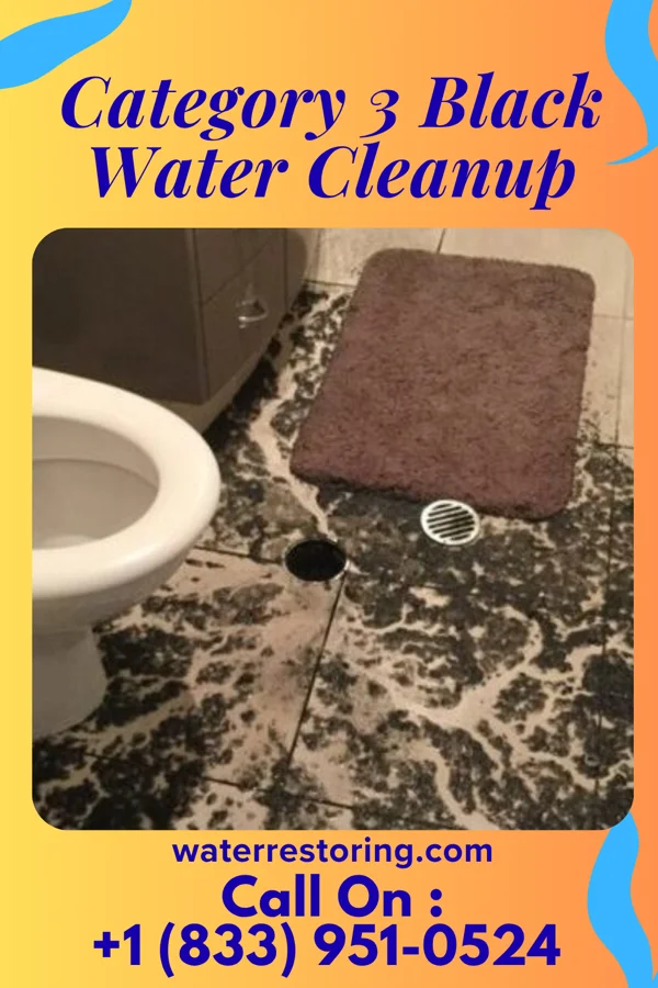 Category 3 Black Water Cleanup in Kenney, IL