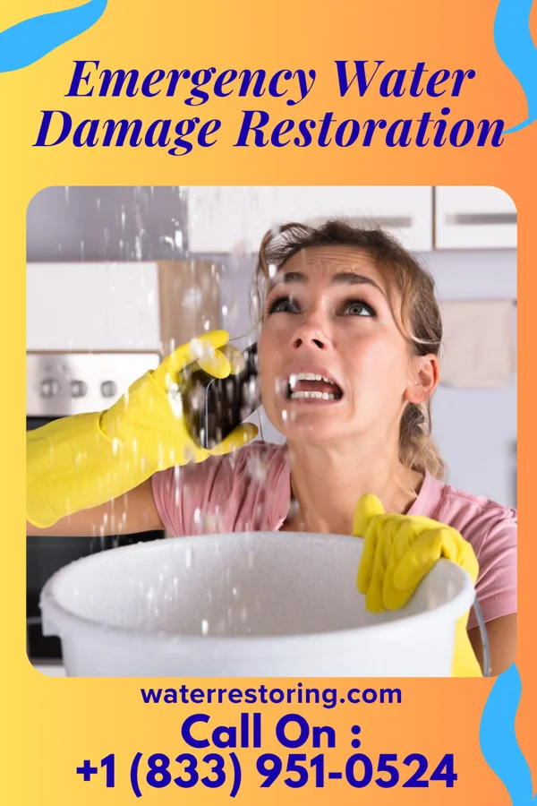 Emergency Water Damage Restoration in Kenney, IL