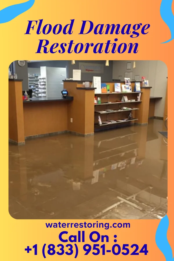 Flood Damage Restoration in Kenney, IL