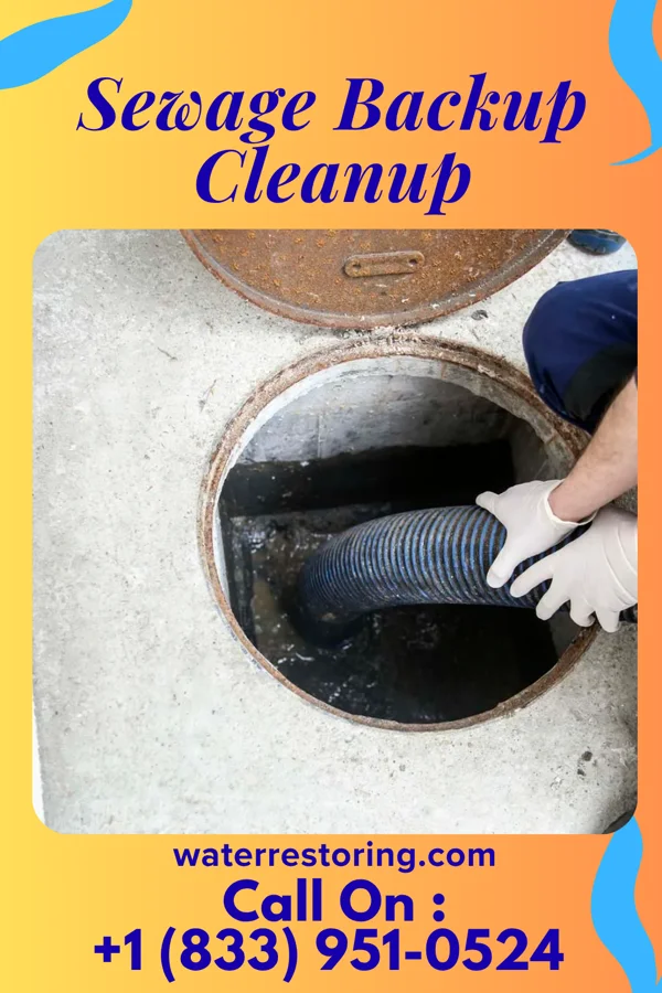 Sewage Backup Cleanup in Kenney, IL